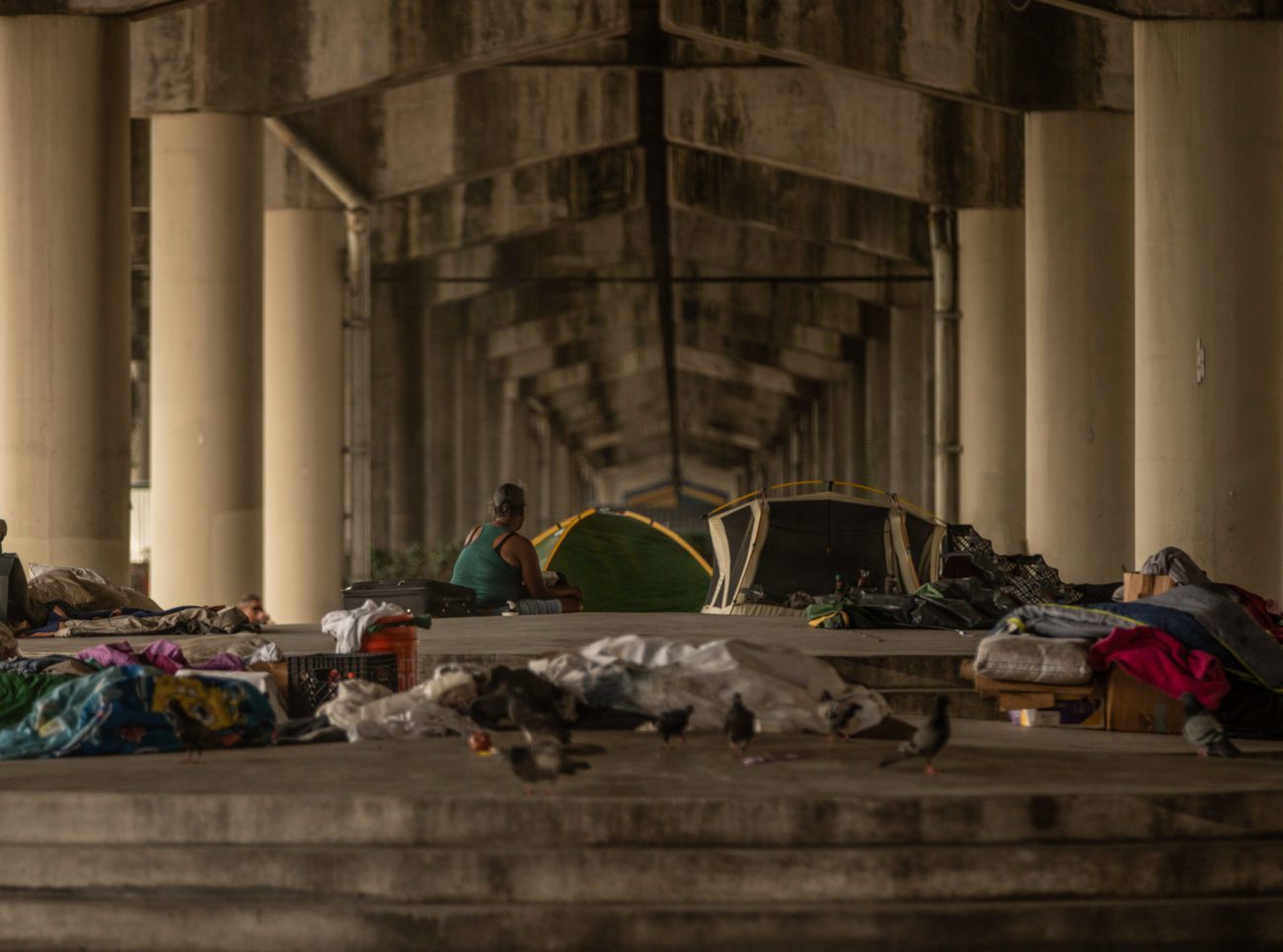 City of Dallas' Efforts to Address Homelessness and Vagrancy Criticized