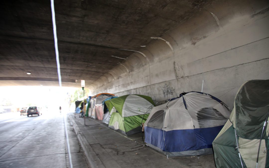 Dallas’ Office of Homeless Solutions Continues to Fail