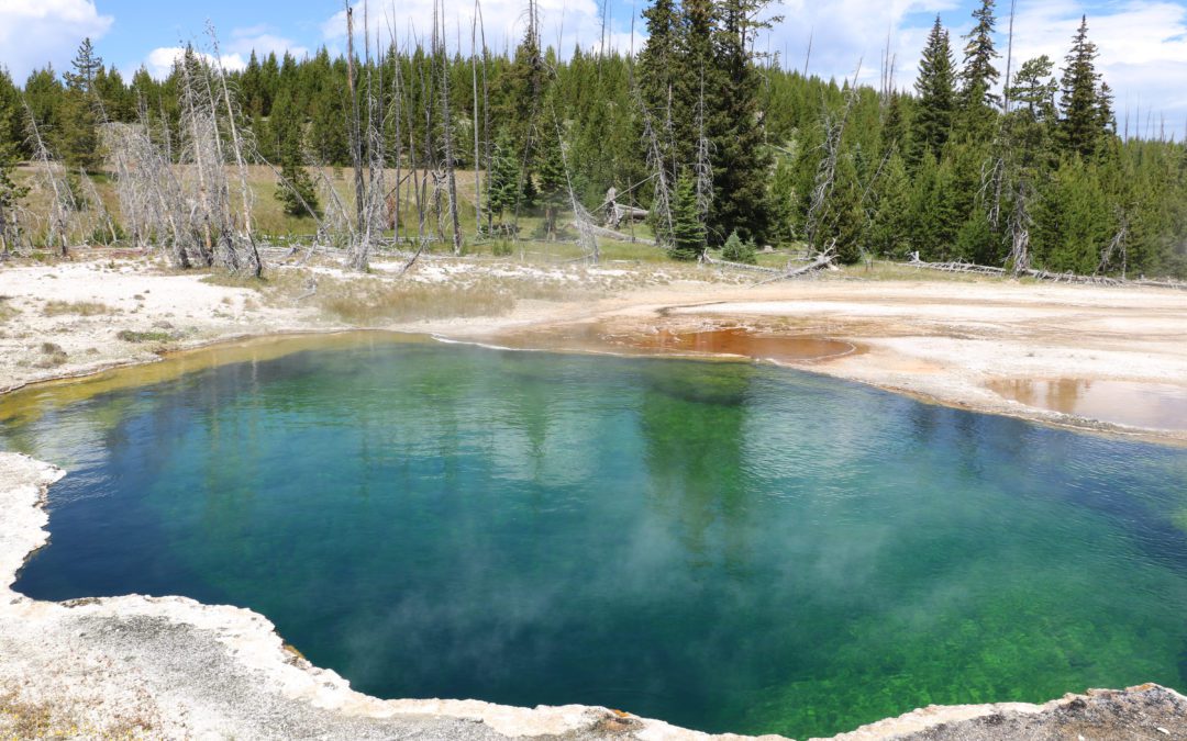 Shoe Containing Partial Foot Found in Yellowstone Hot Spring