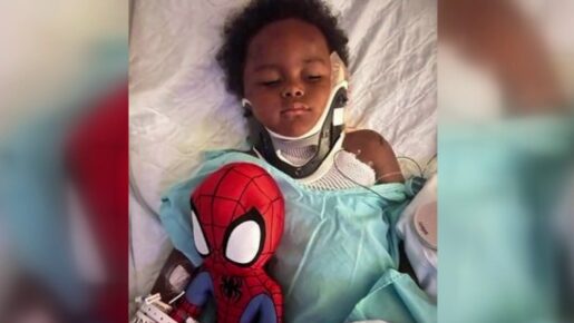 Loose Dog Puts 4-Year-Old in ICU