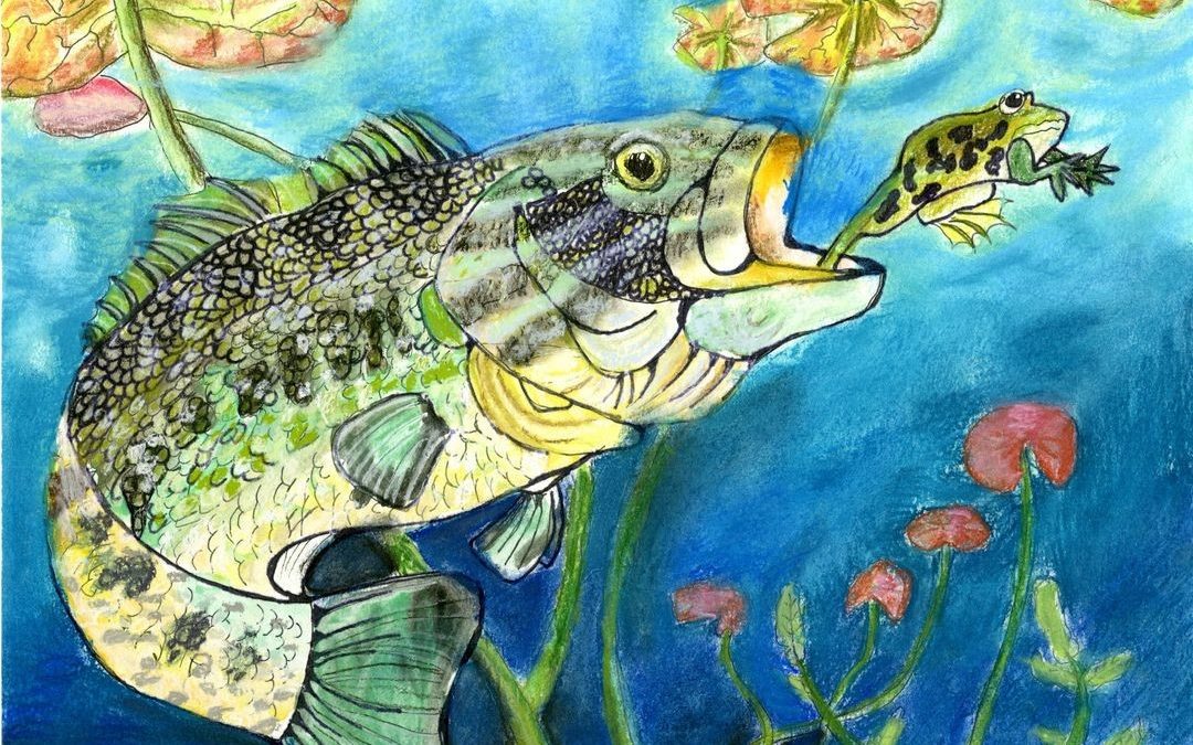 Texas Wildlife Forever Holding Fish Art Contest