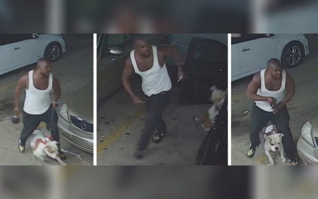 Police Release Images of Dallas Strip Mall Shooting Suspect
