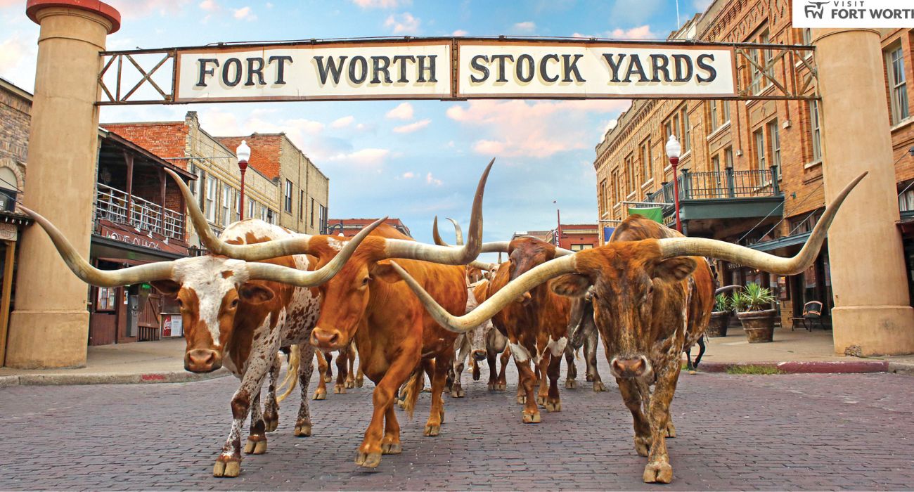 Historic Stockyards to Conduct Mobility Study