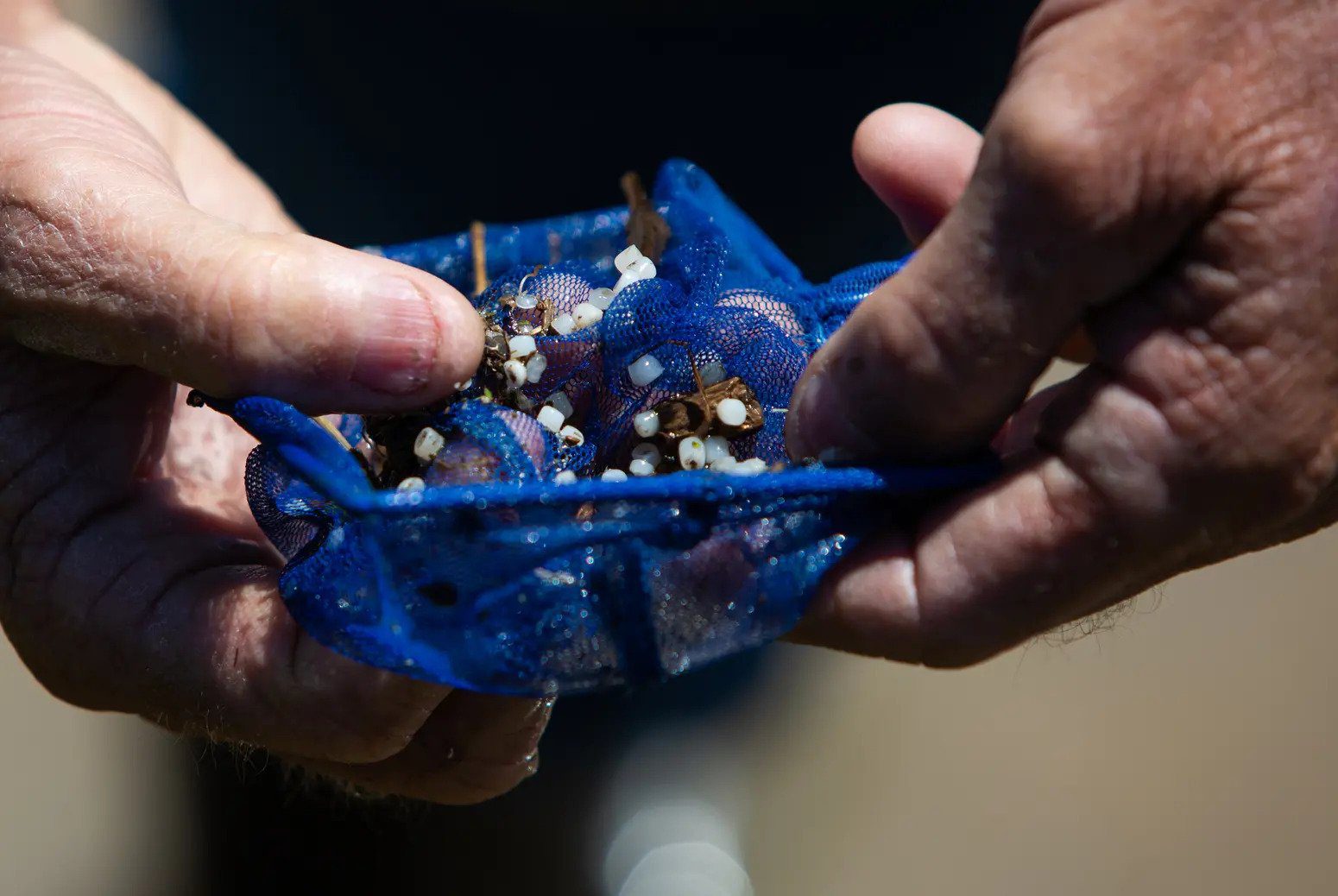 Proposed Microplastic Ban Scrapped by TCEQ
