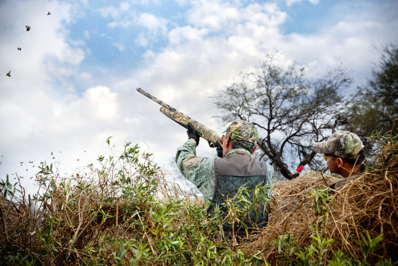 Dove Hunting Season's Open in Texas
