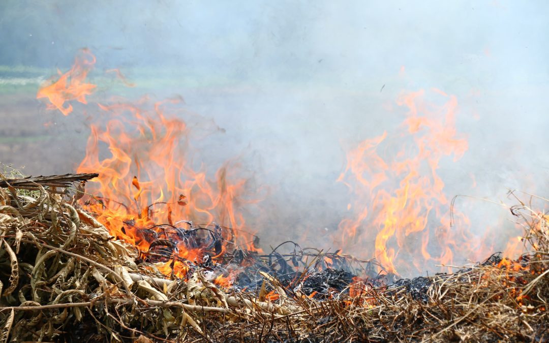 Dos condados de Texas levantan prohibiciones de quema