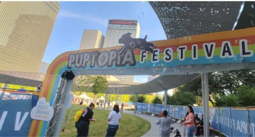 Puptopia Festival Creates a Paws-itively Fun Atmosphere