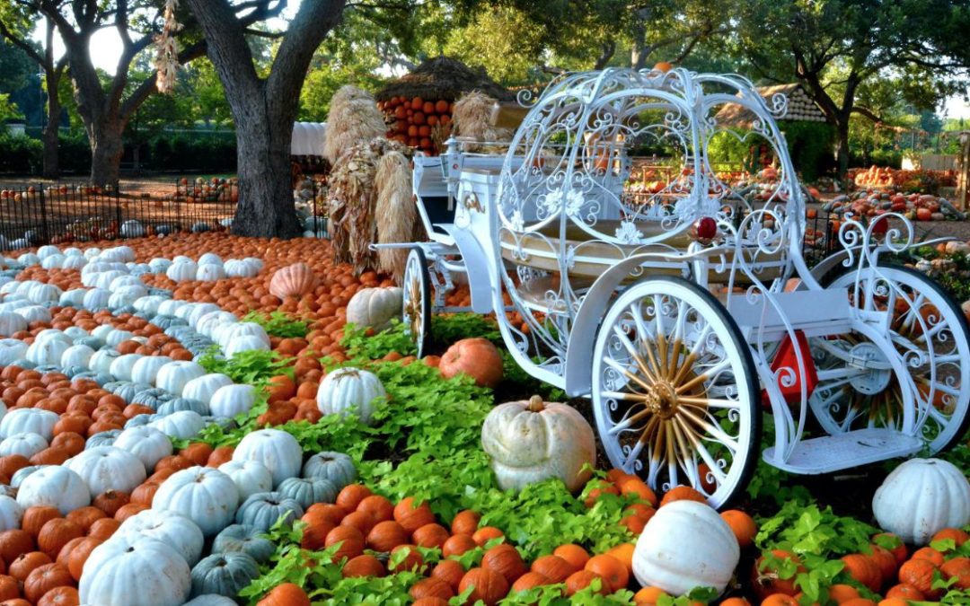 Festivales de otoño en el norte de Texas en octubre