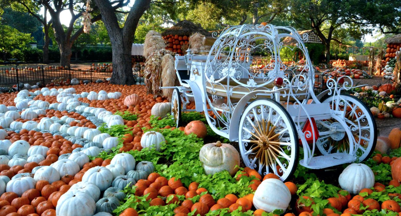Fall Festivals in North Texas in October