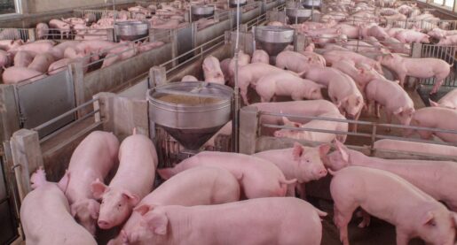 Pork Industry Case Weighed by Supreme Court