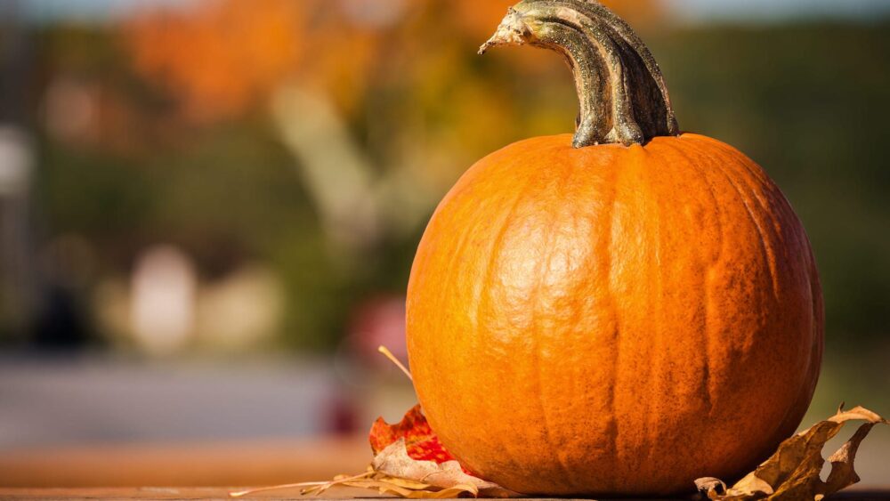 October Events at The Shops at Clearfork