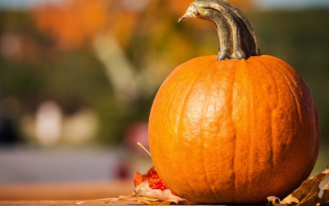 October Events at The Shops at Clearfork