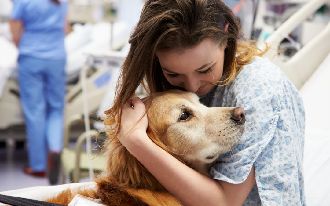 Study: Petting Dogs Engages the Social Brain