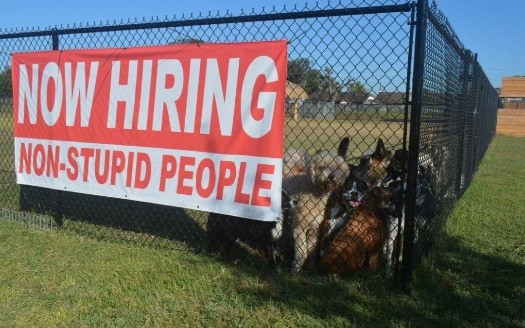 Now Hiring Non-Stupid People | Texas Business Owner’s Sign Pays Off