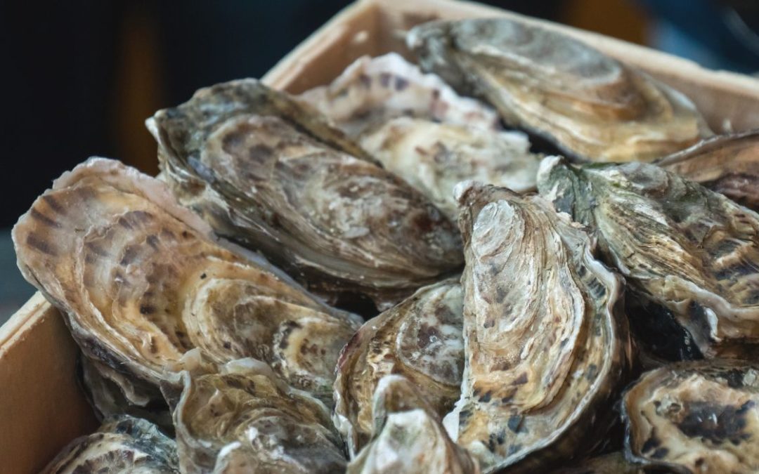 Texas Closes Two-Thirds of Its Oyster Reefs