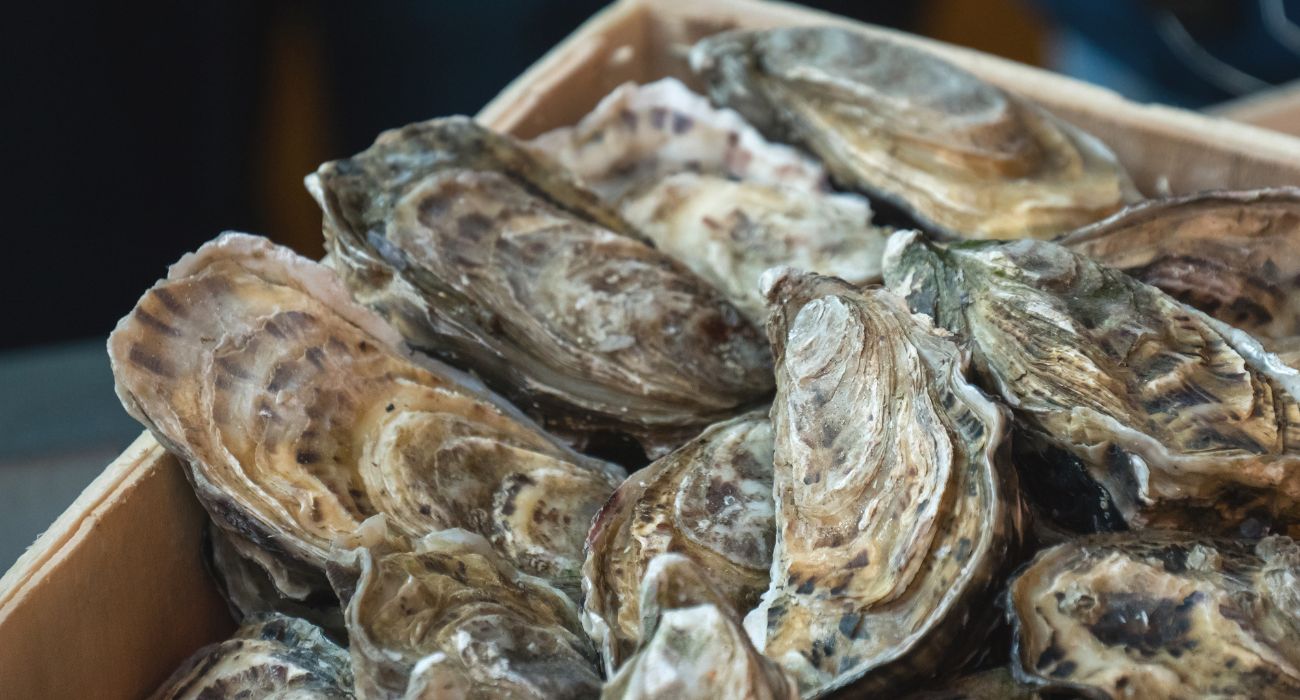 Texas Closes Two-Thirds of its Oyster Reefs