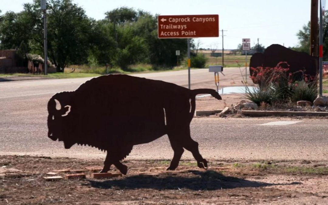 Texas Town Revived by Bison Herd