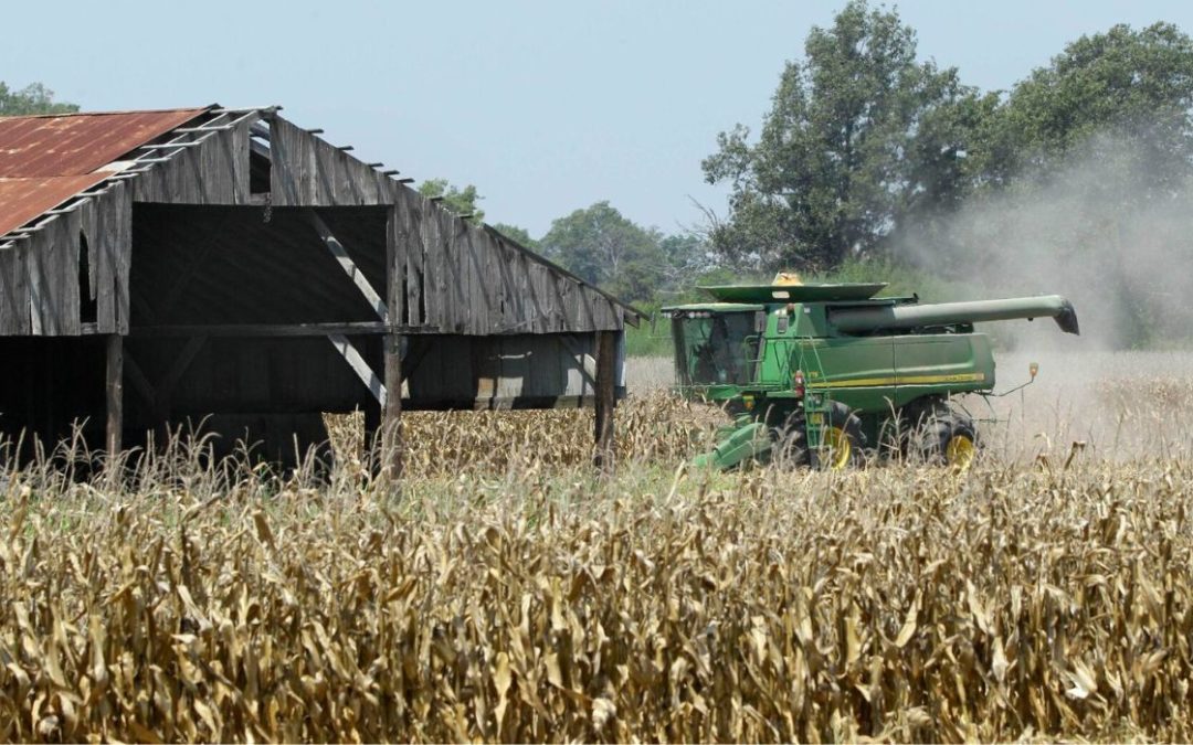 Farmers Can Expect High Interest Rates Next Year