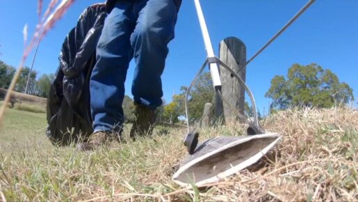 Local City Expands Program to Employ Homeless to Clean City