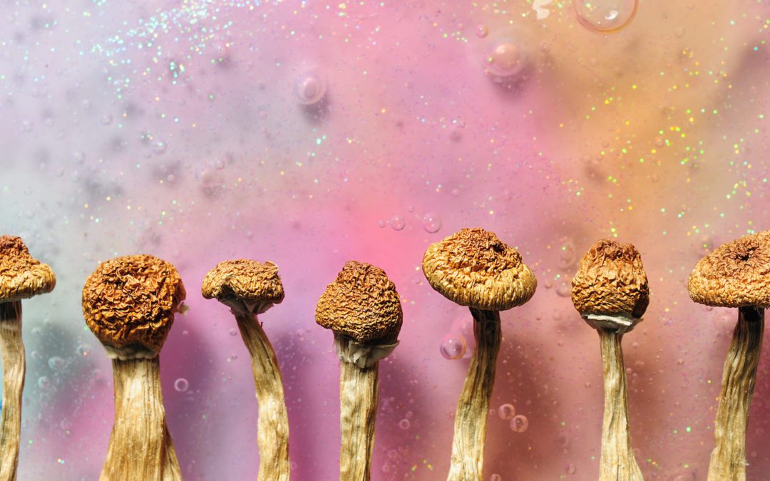 More States Legalizing Psychedelics