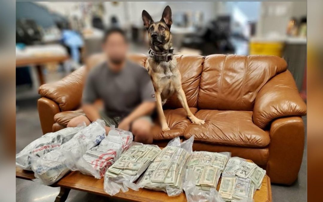 Inside the Dallas Police Canine Unit