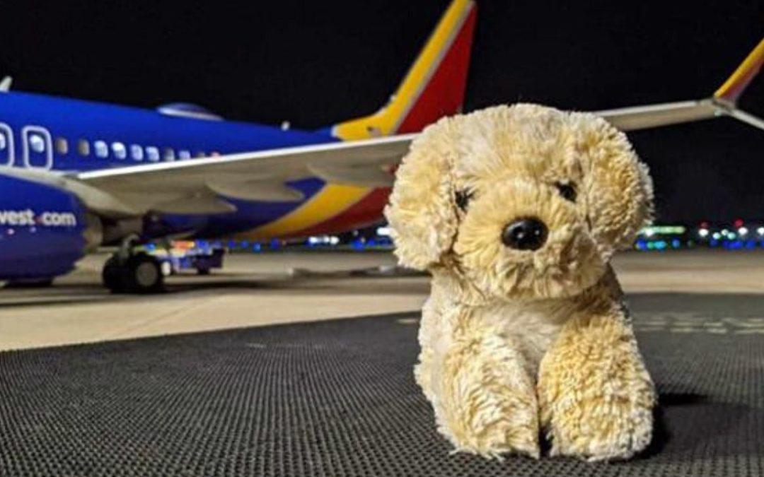 Southwest Reunites Child with Stuffed Animal