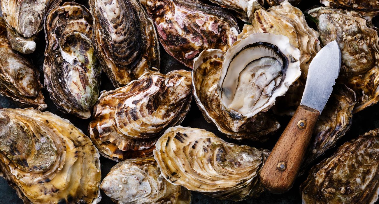 Texas Oysters Recalled
