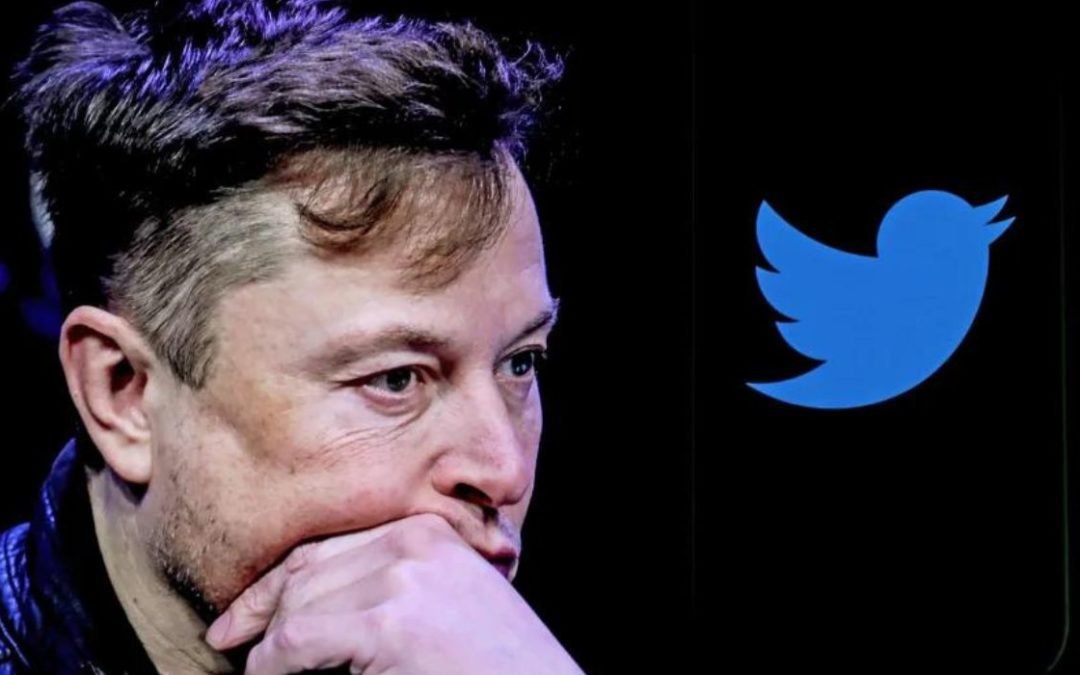 Musk permite que los usuarios decidan el destino como CEO