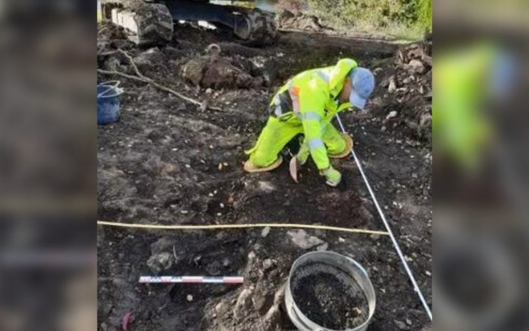 Viking Artifacts Unearthed in Norway, Denmark