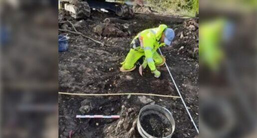 Viking Artifacts Unearthed in Norway, Denmark