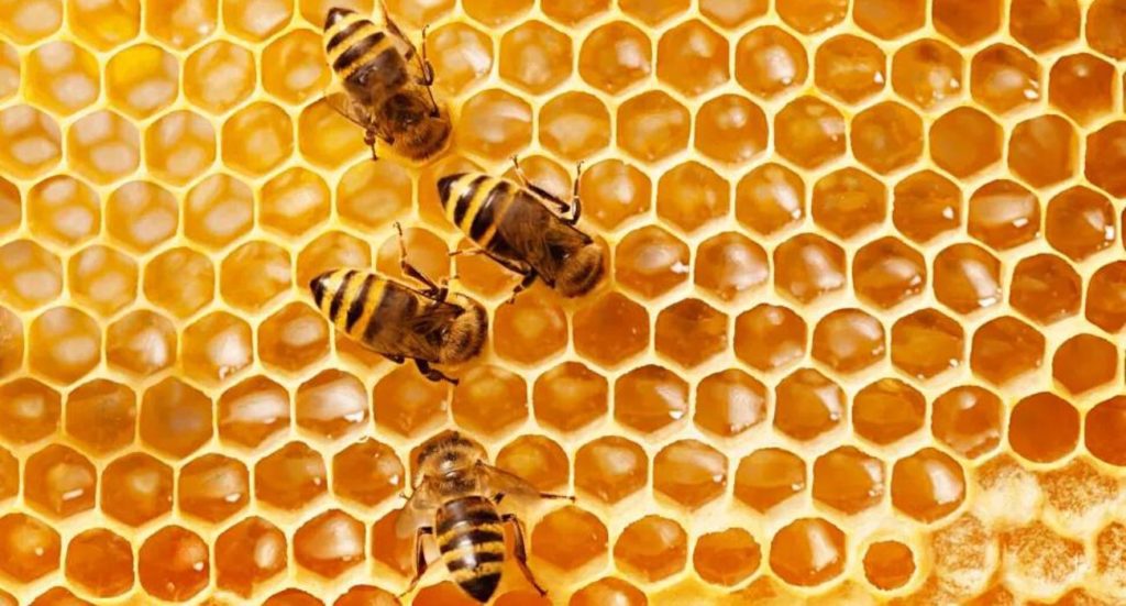 New Honeybee Vaccine