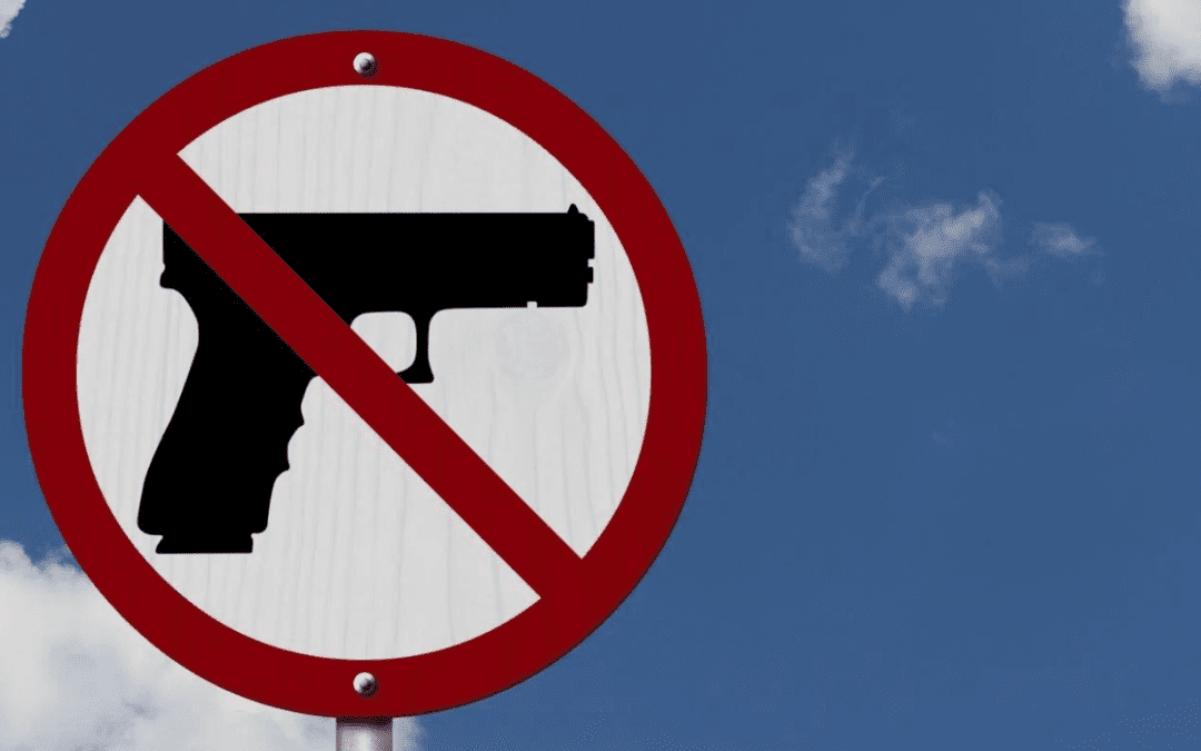 Illinois Banned Guns List Could Grow