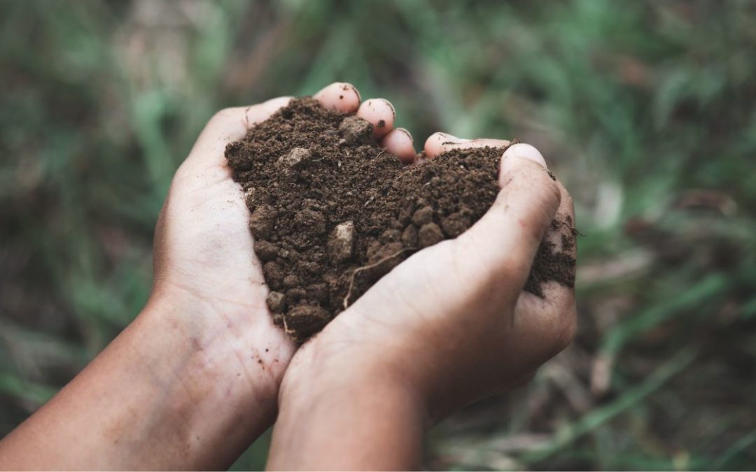 New York Legalizes ‘Human Composting’