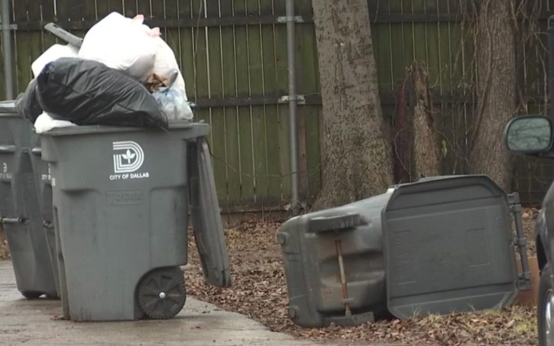City Fails to Pick up Dallas Trash