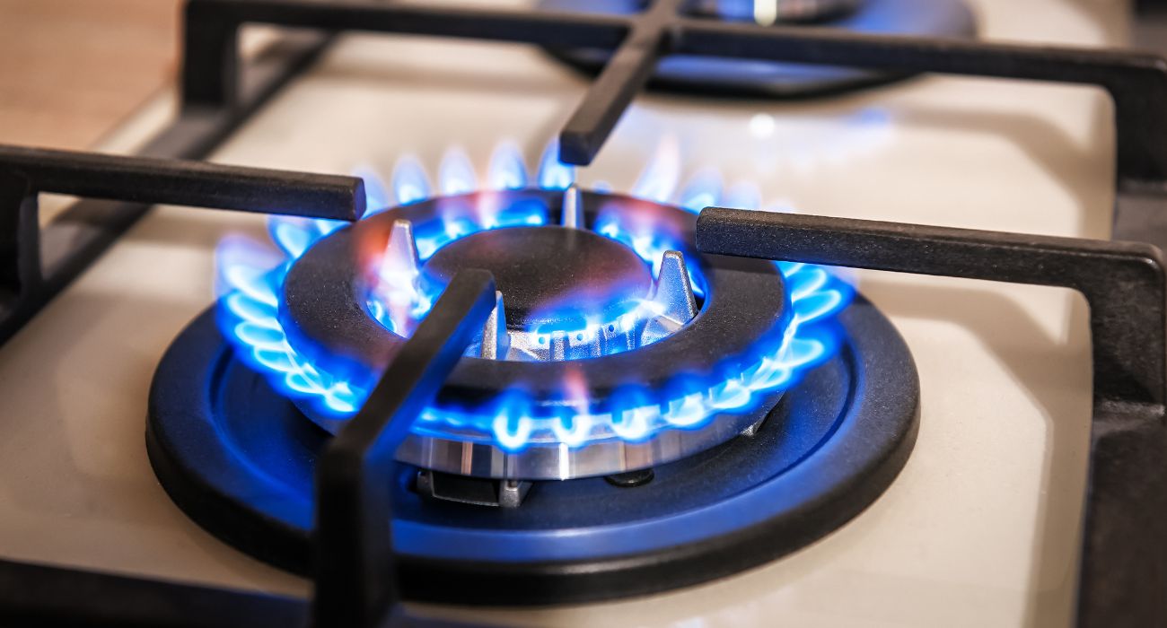Gas Stove Ban Proposed