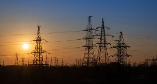 Power Grid Agency Claims Resource Shortage