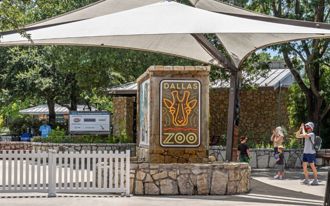 Another Dallas Zoo Pen Possibly Sabotaged