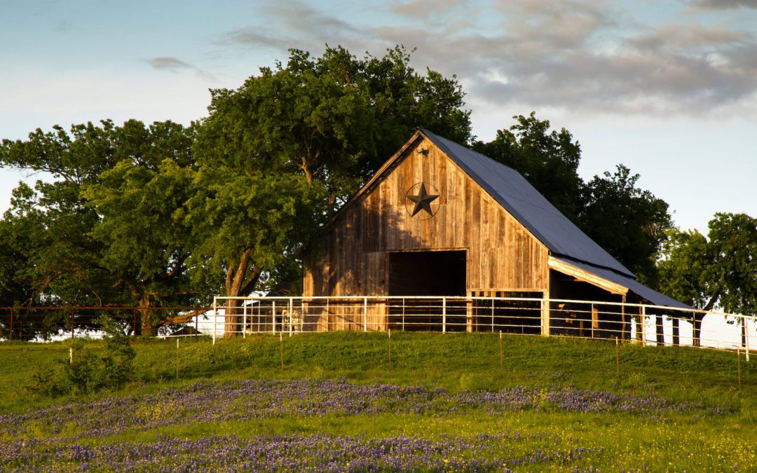 Best Small Towns to Visit Near Dallas