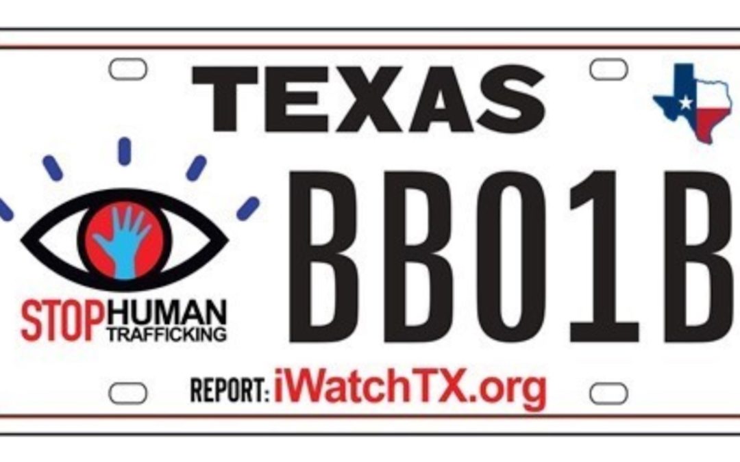 New Texas Specialty License Plate