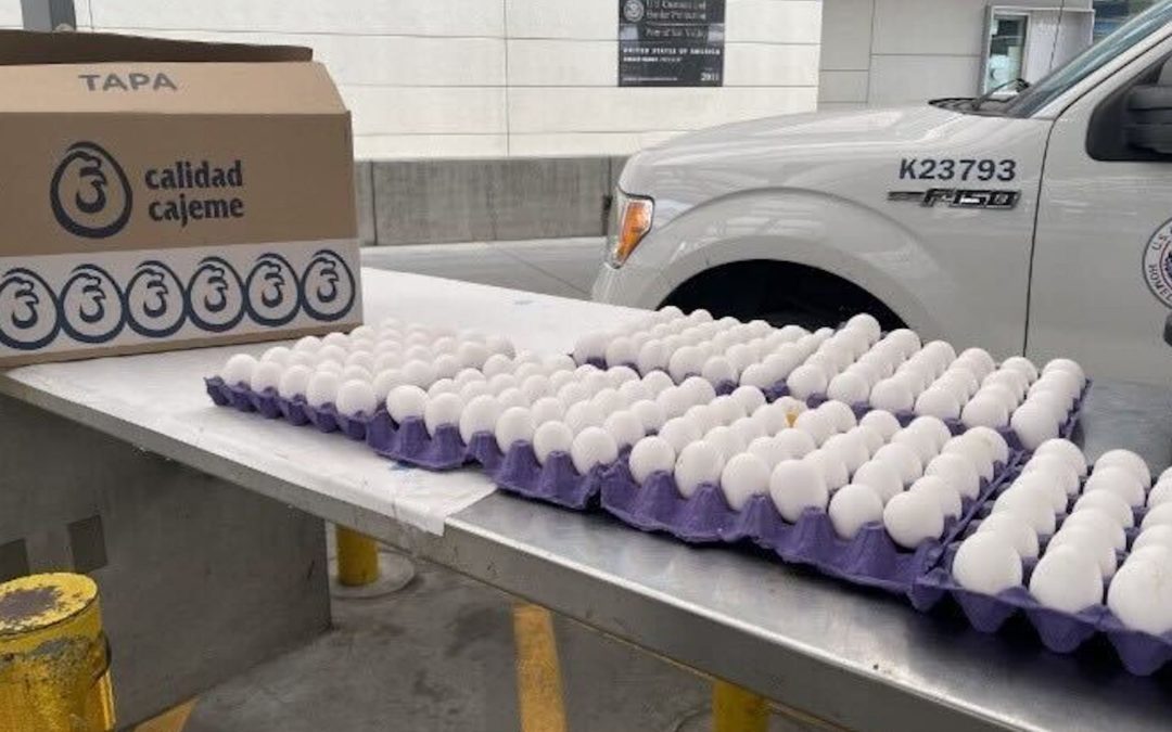 People Crossing Mexico Border for Eggs