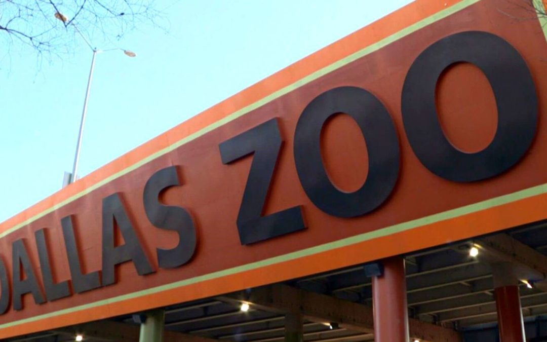 Dallas Zoo Hosts City Council Retreat