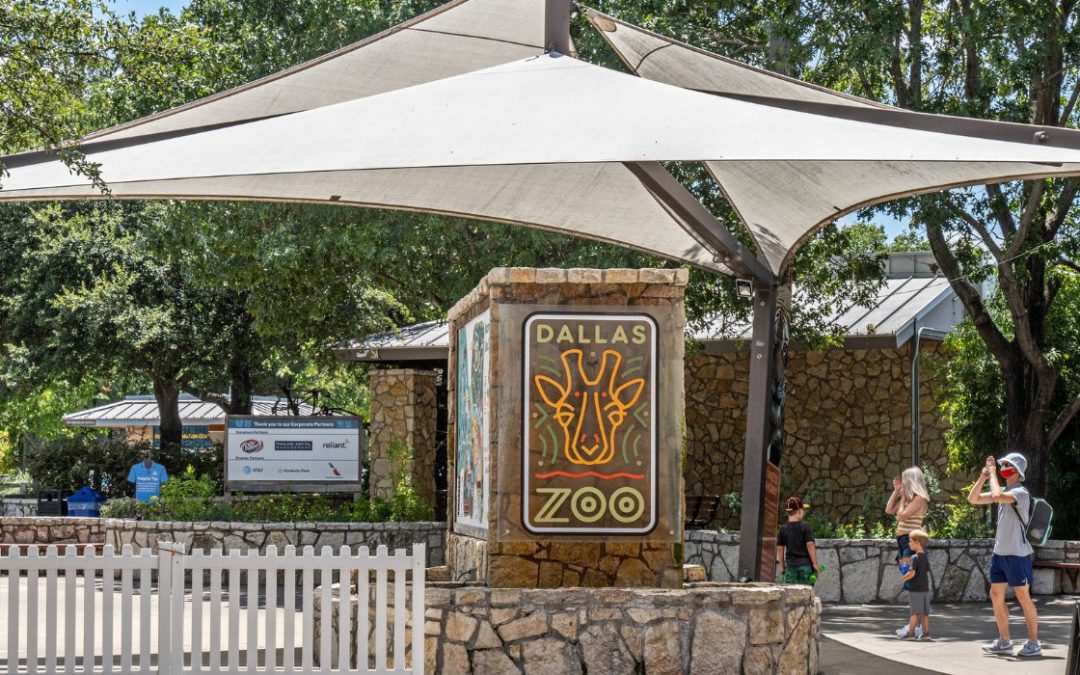 Dallas Zoo Updates Security Measures