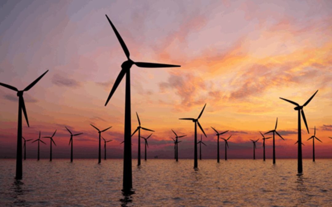 U.S. Proposes Wind Leases in Gulf of Mexico