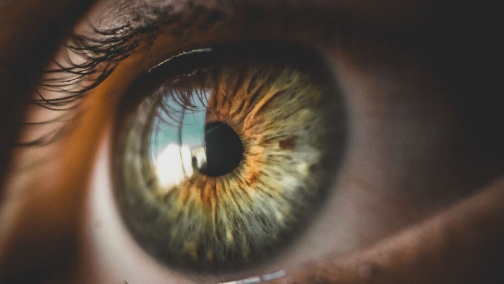 Scientists Link Eye Disease to Obesity