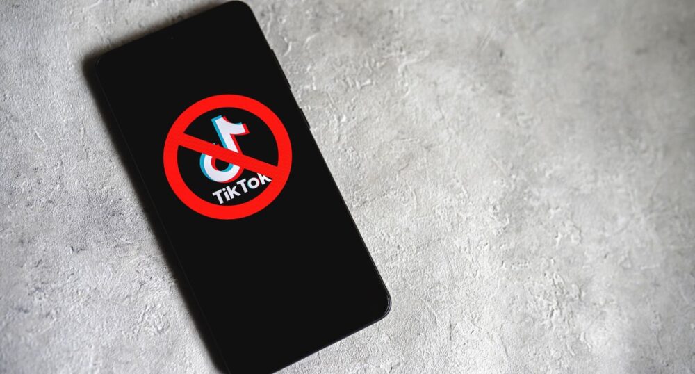 Other Countries Pursue TikTok Bans