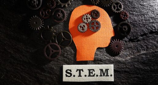 Fewer Students Choosing STEM Degrees