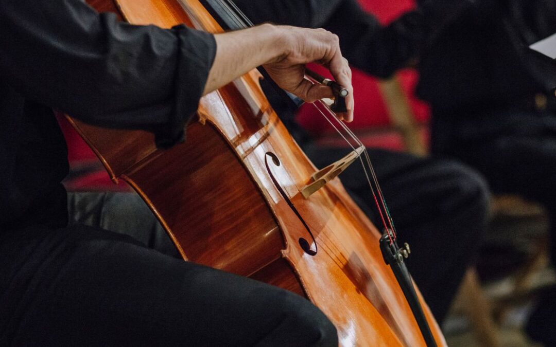 Local Orchestra Puts On Free Performance