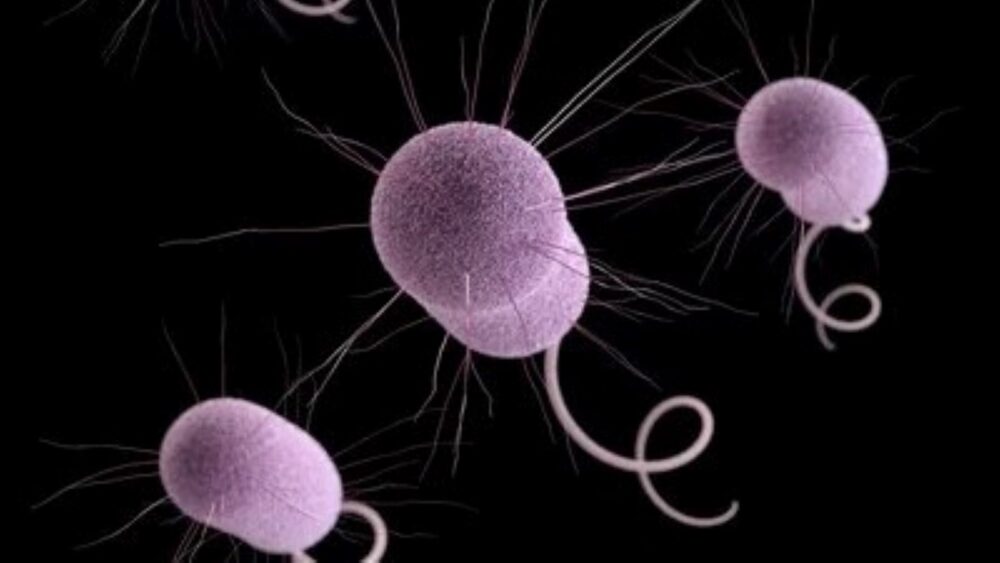 UN Urges Action Against Superbugs