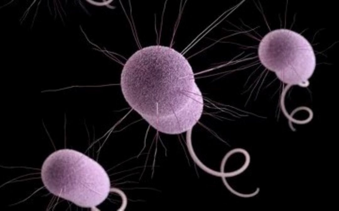 UN Urges Action Against Superbugs