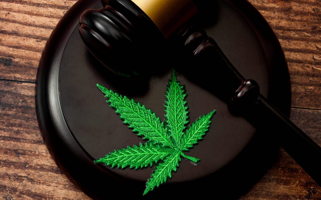 Council Discusses Decriminalizing Marijuana